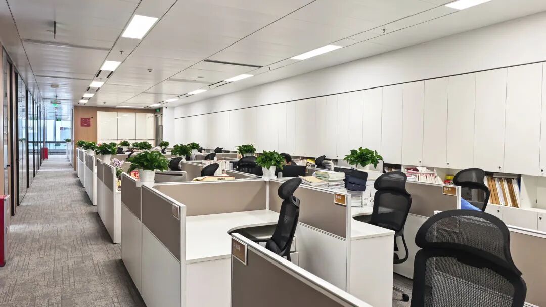 Guoxin Xinyang Law Firm - Open Work Area